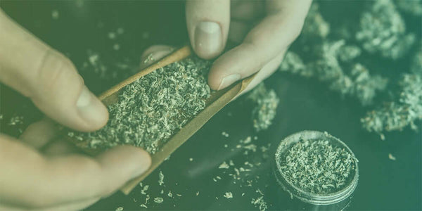 How To Roll A Blunt: Complete Blunt Rolling Guide