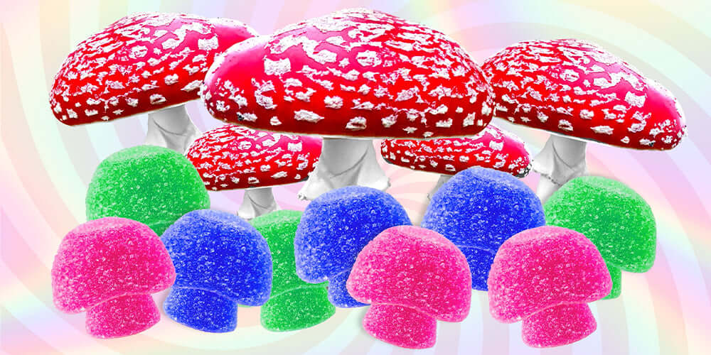 Amanita Mushroom Gummies