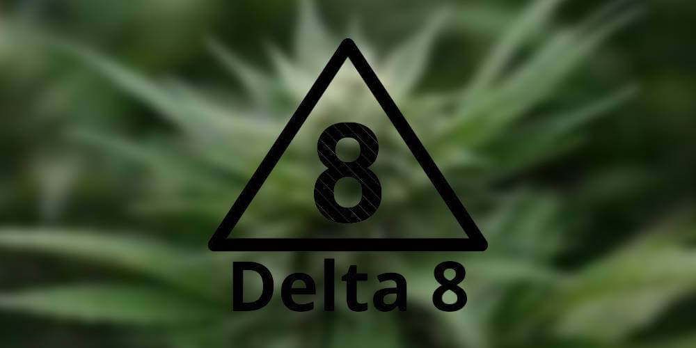 Delta-8 THC for Beginners: Everything You Need to Know