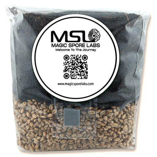 Magic Spore Labs 5lb All-In-One Grow Bag