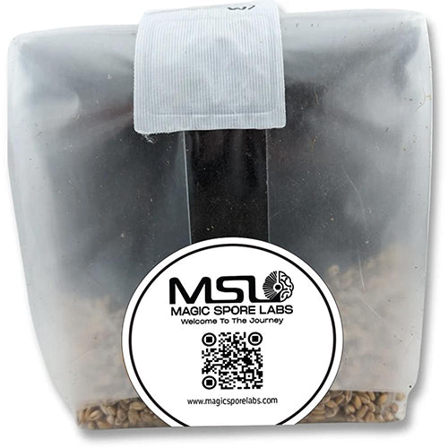 Magic Spore Labs Grow Bag