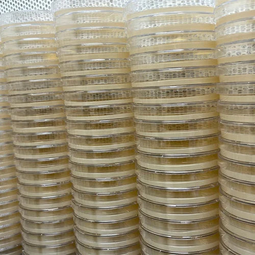 Pre-Poured Sterile Agar Plates